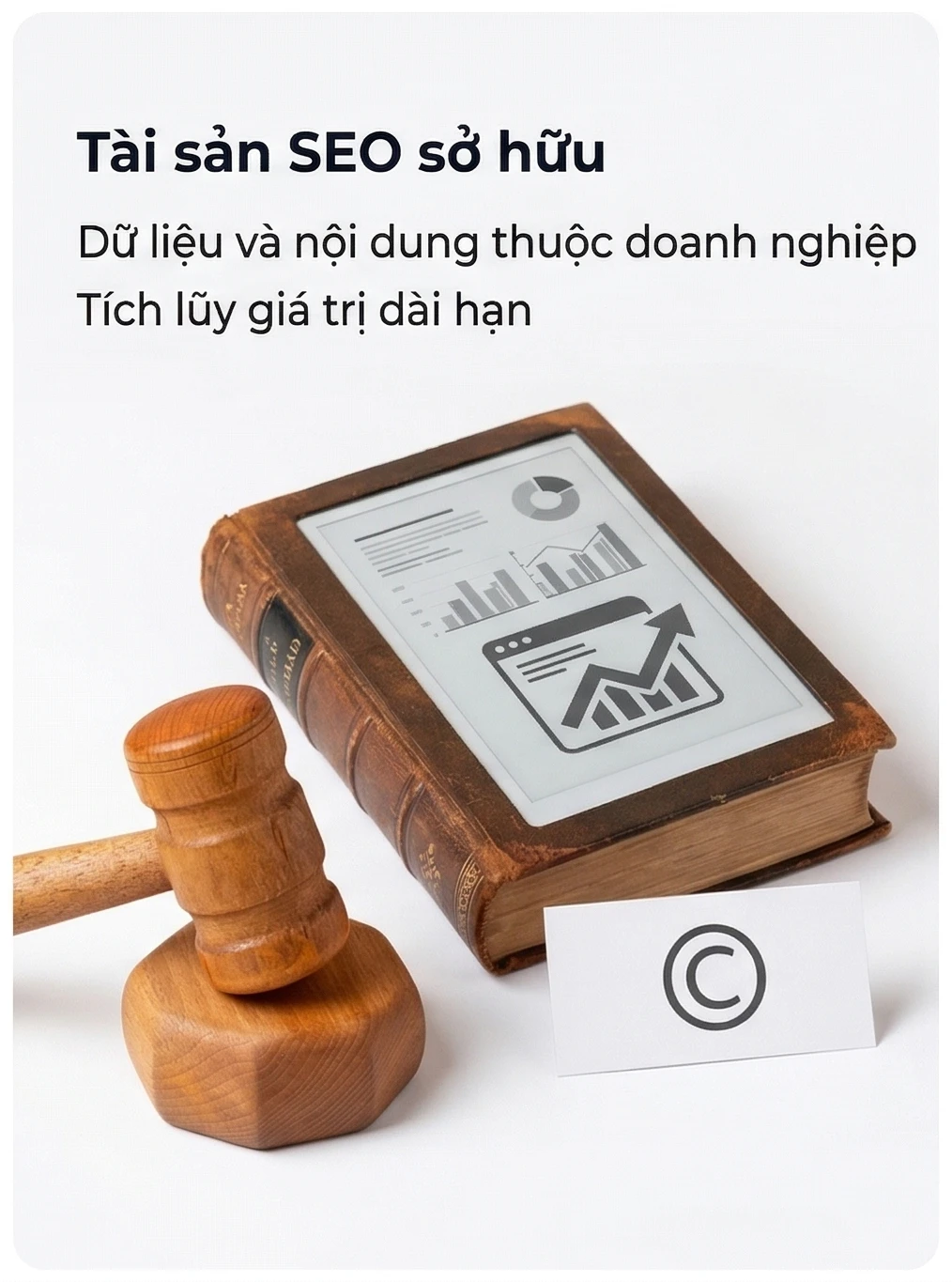 Tài sản SEO sở hữu Dữ liệu và nội dung thuộc doanh nghiệp Tích lũy giá trị dài hạn